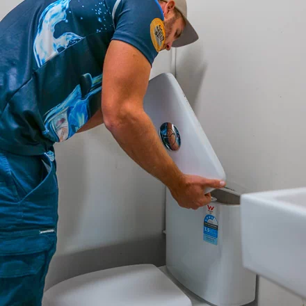 Toilet Plumbing Mermaid Beach